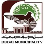 dubai munsipality jobs